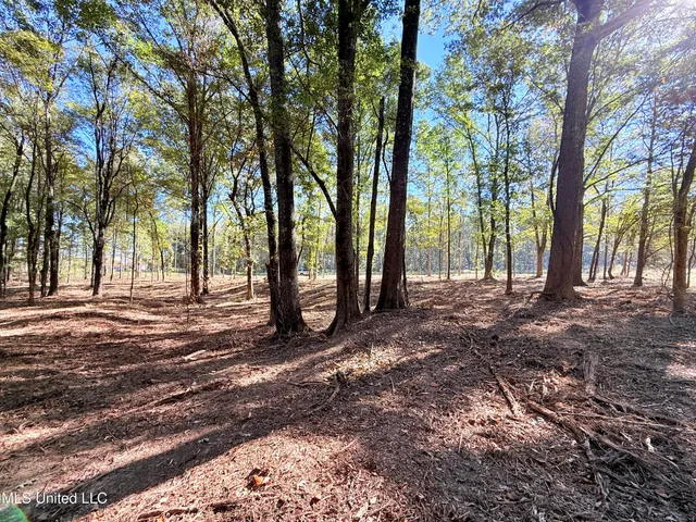 $175,000 | Meadow Lane, Canton, MS 39046