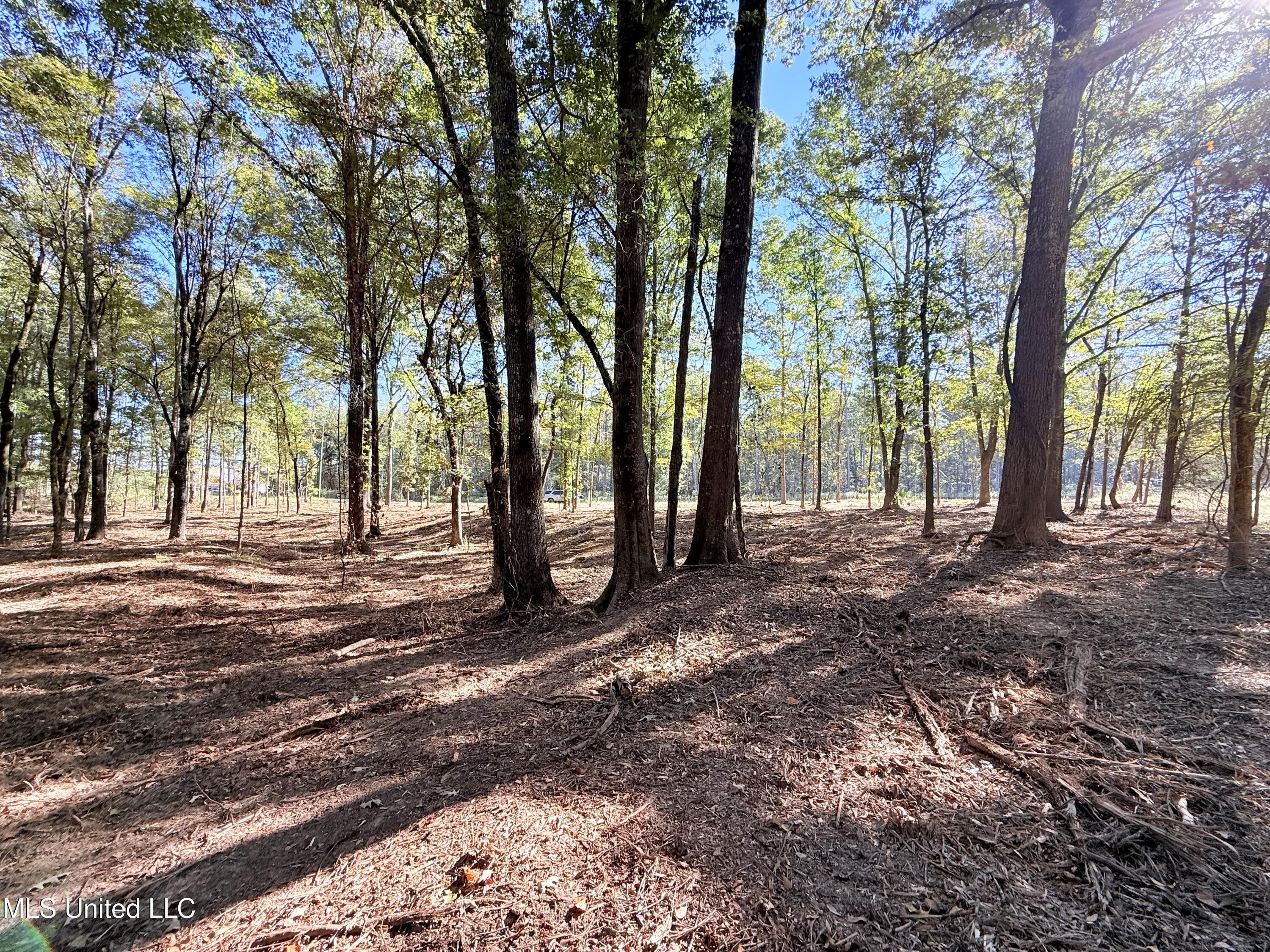 Meadow Lane Canton, MS 39046 - Photo 9 of 27 IMG_1007