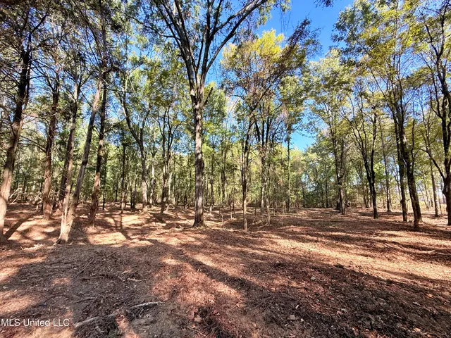 $175,000 | Meadow Lane, Canton, MS 39046