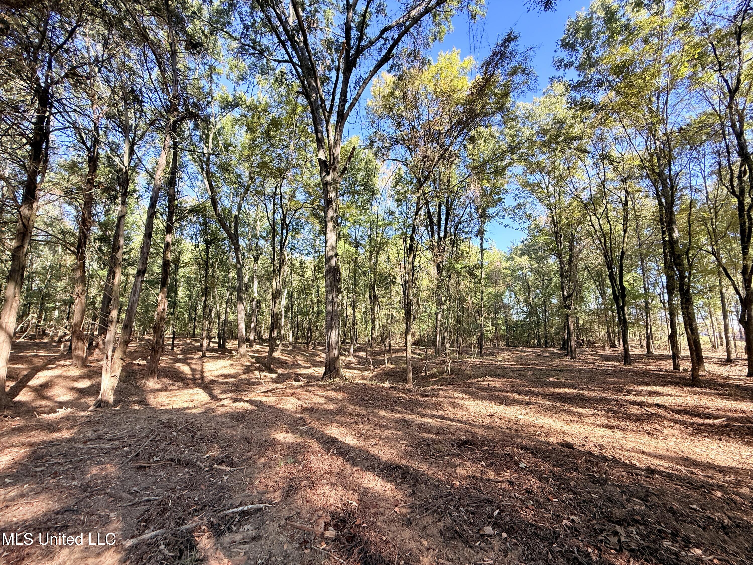 Meadow Lane Canton, MS 39046 - Photo 10 of 27 IMG_1008