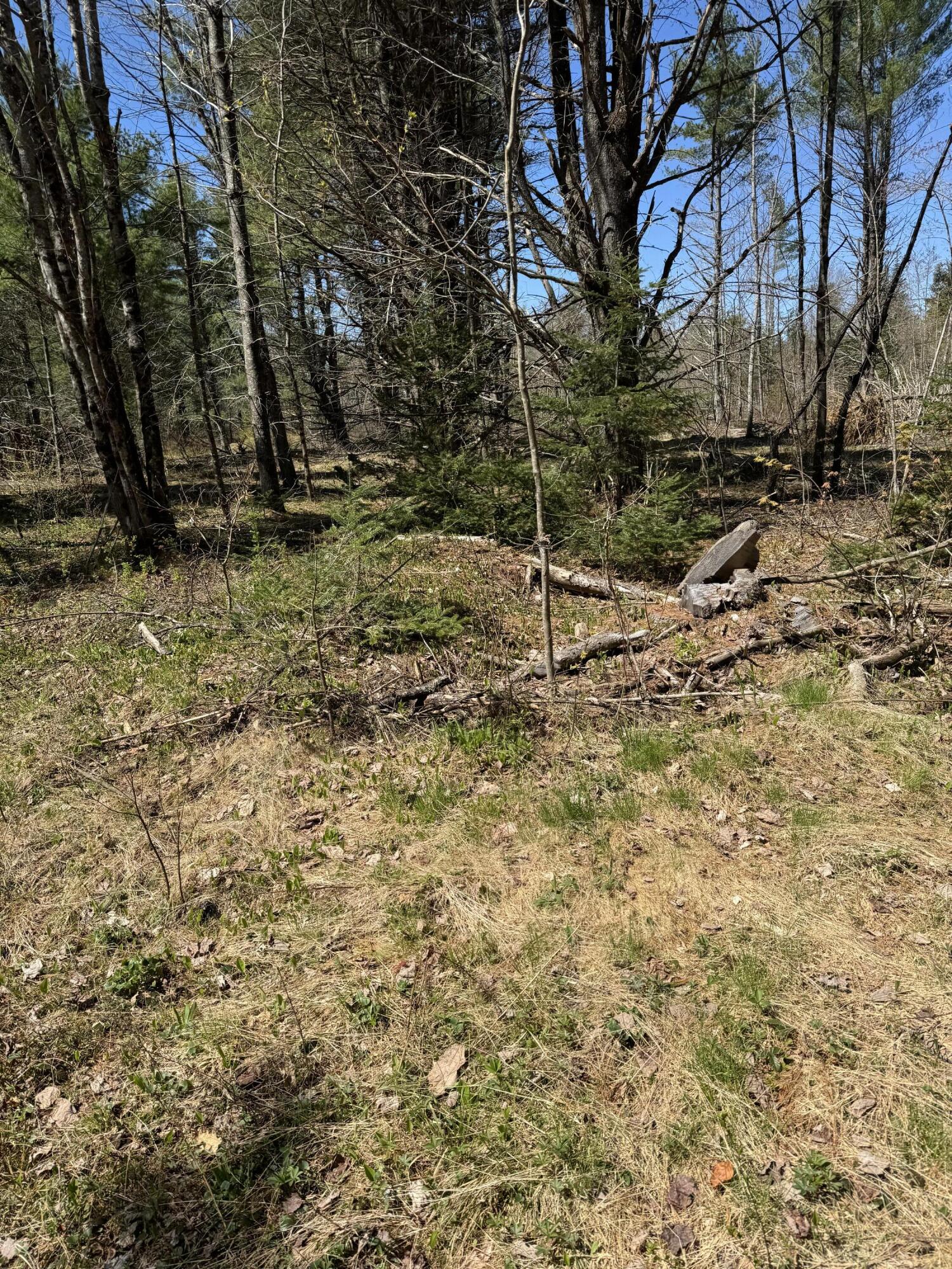 P/o Lot 7 P/o Road Norridgewock, ME 04957 - Photo 20 of 28 Land