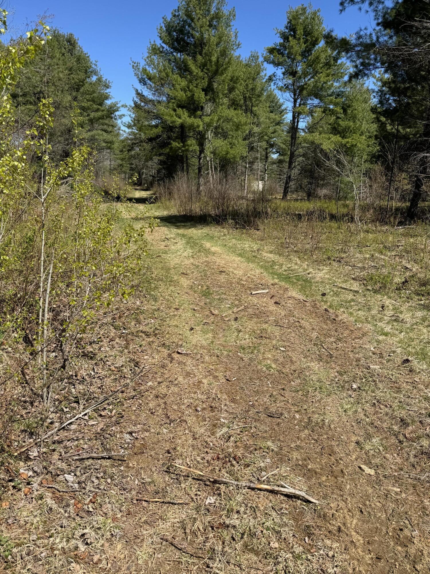 P/o Lot 7 P/o Road Norridgewock, ME 04957 - Photo 21 of 28 IMG_5774
