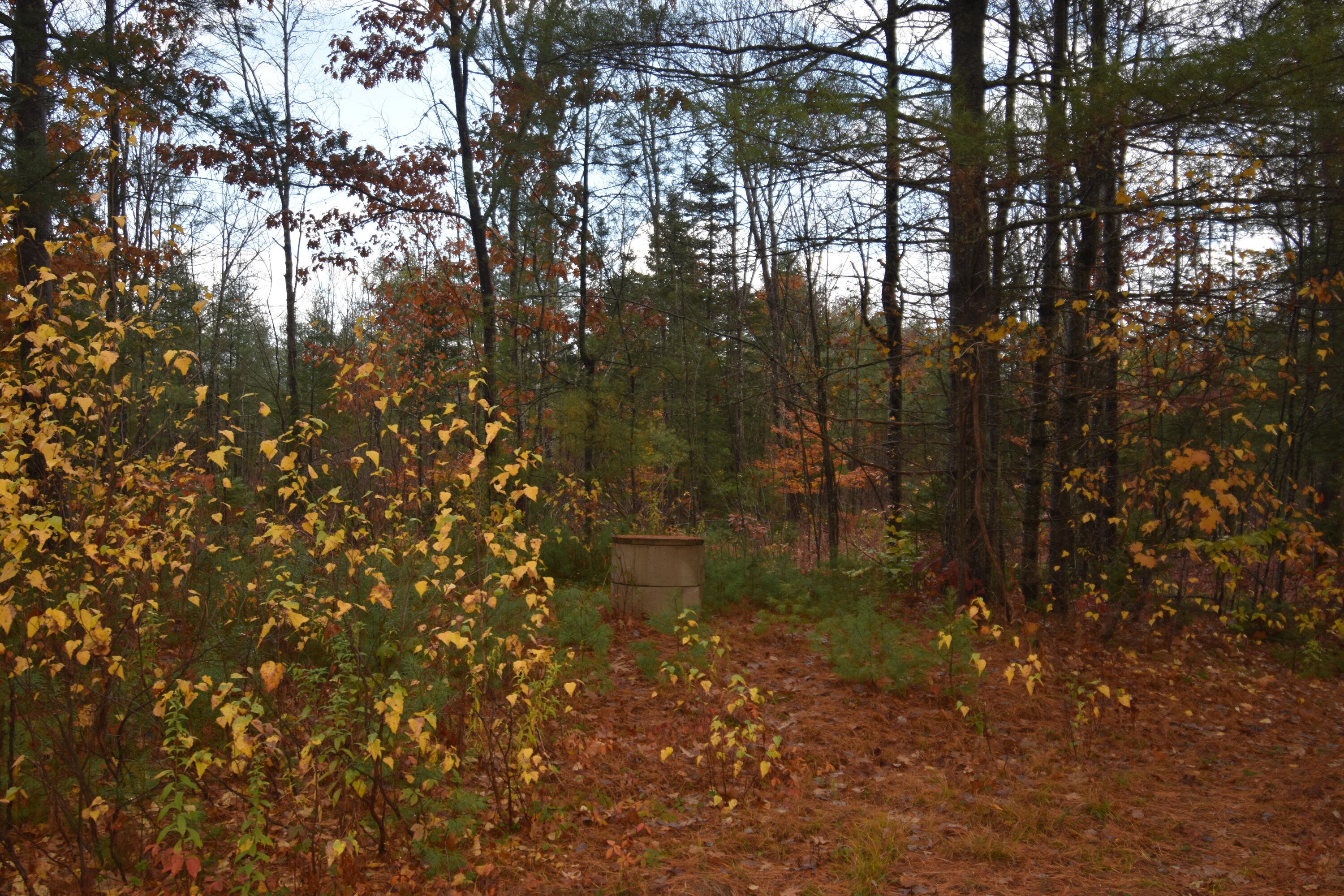 P/o Lot 7 P/o Road Norridgewock, ME 04957 - Photo 25 of 28 DSC_0998