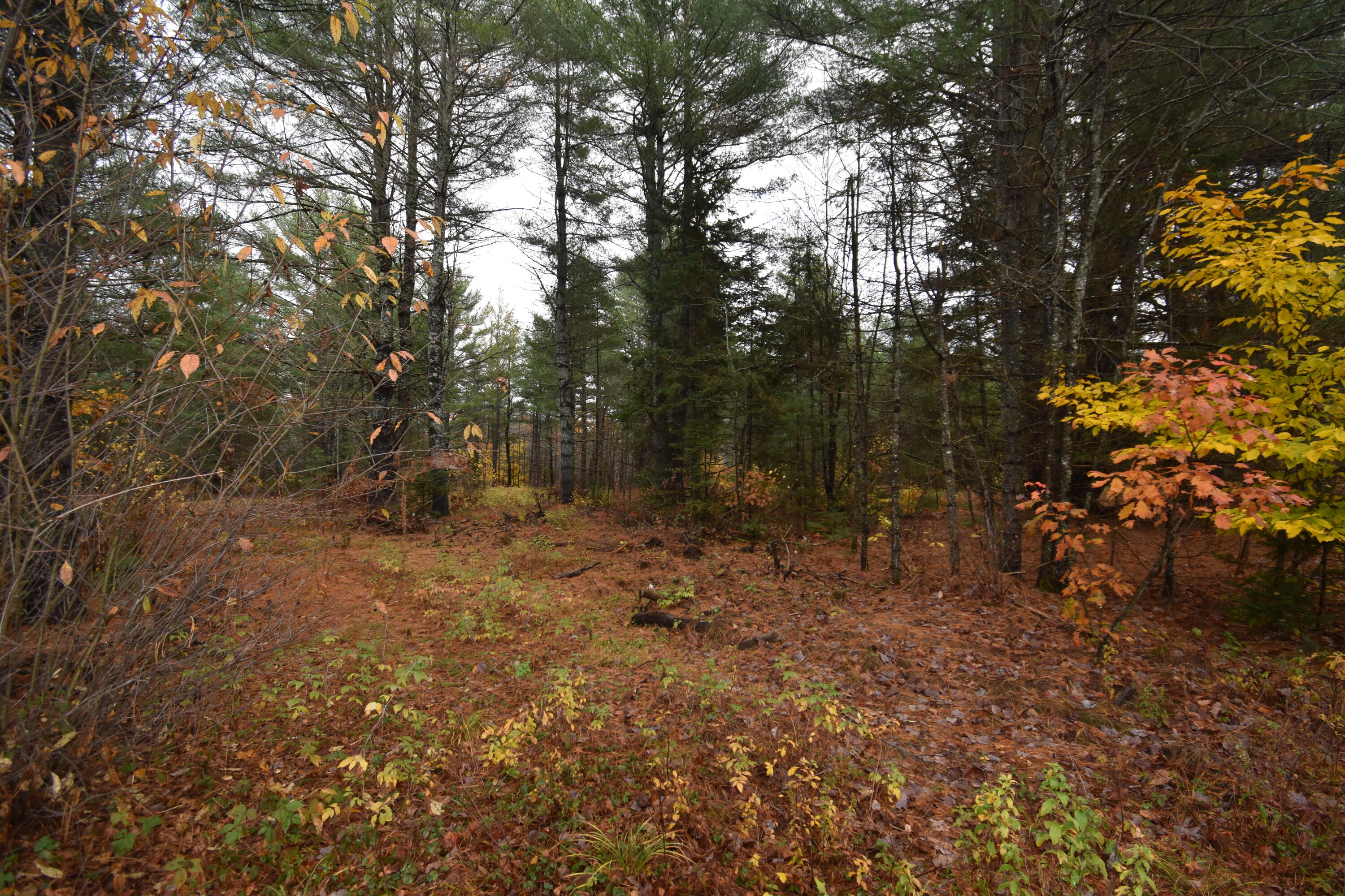 P/o Lot 7 P/o Road Norridgewock, ME 04957 - Photo 26 of 28 DSC_1005