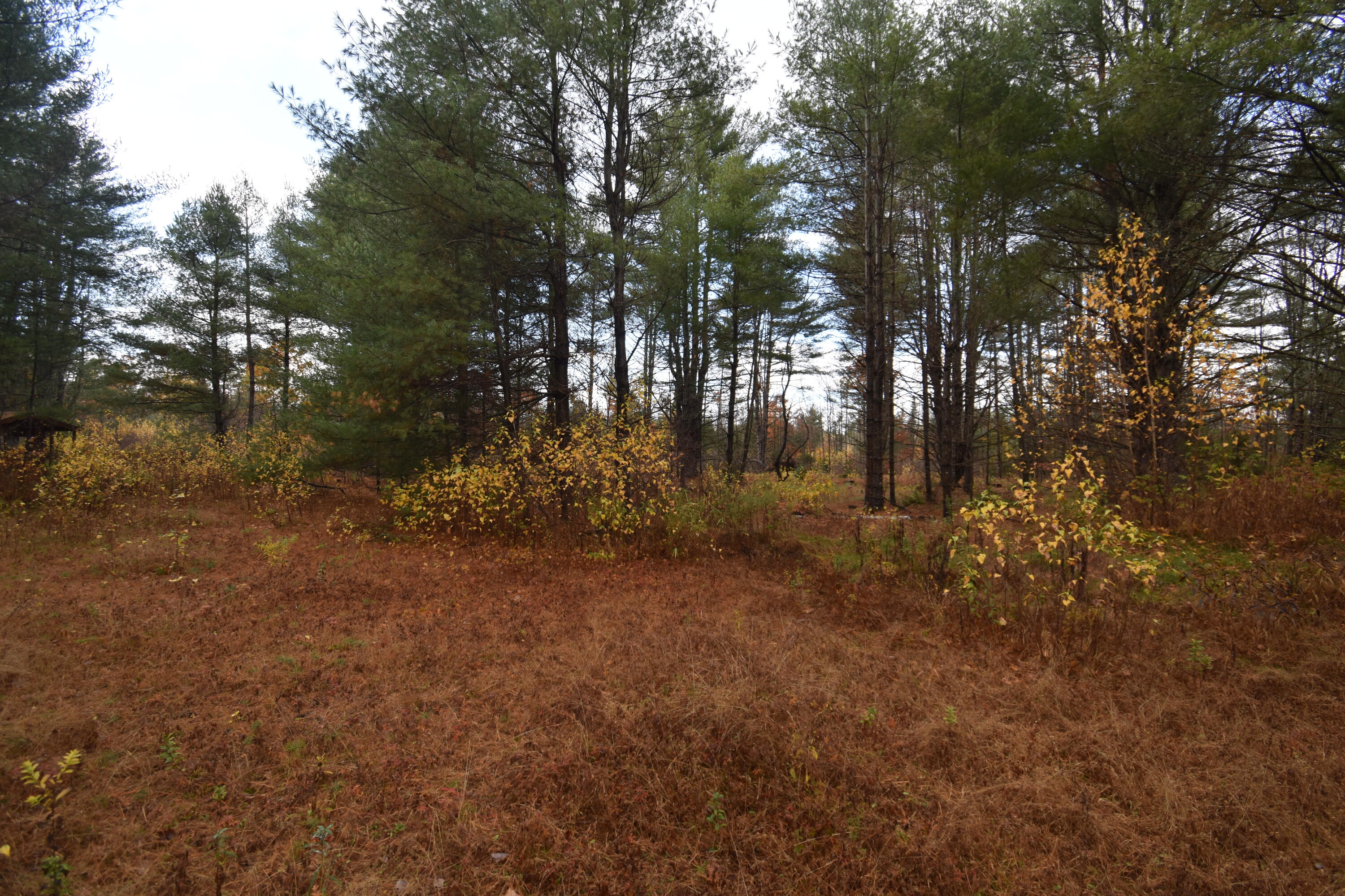 P/o Lot 7 P/o Road Norridgewock, ME 04957 - Photo 27 of 28 DSC_1006