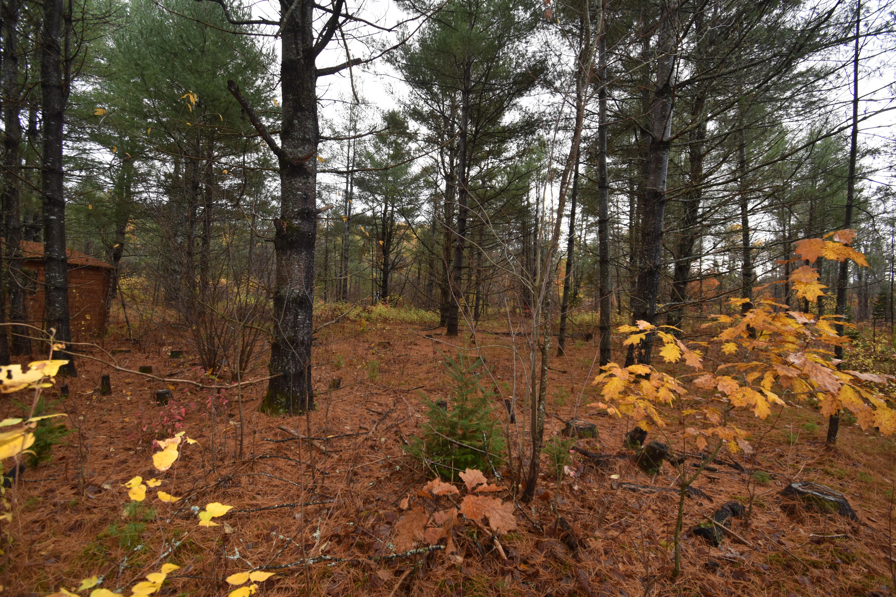 P/o Lot 7 P/o Road Norridgewock, ME 04957 - Photo 28 of 28 DSC_1009