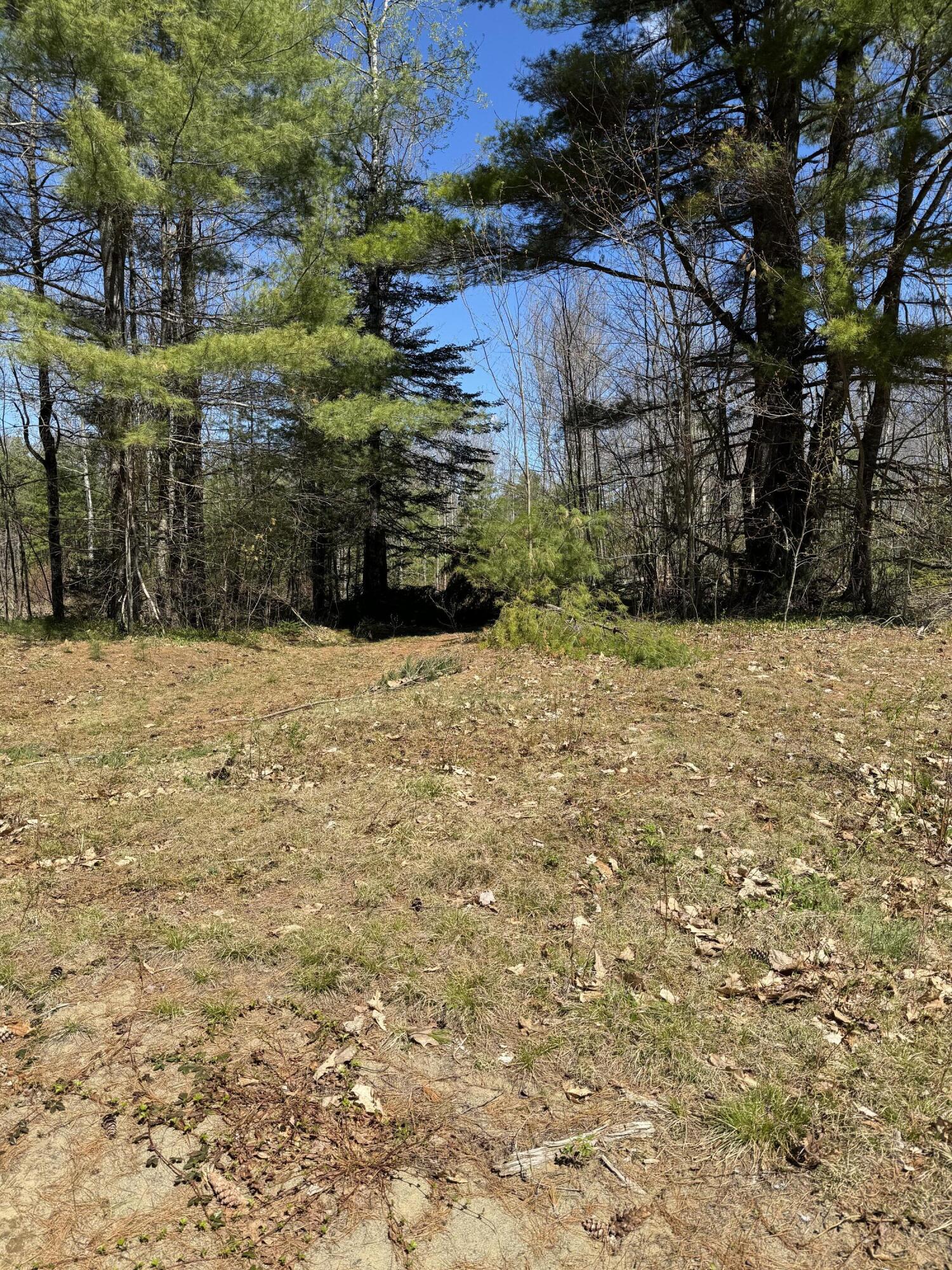 P/o Lot 7 P/o Road Norridgewock, ME 04957 - Photo 4 of 28 IMG_5768