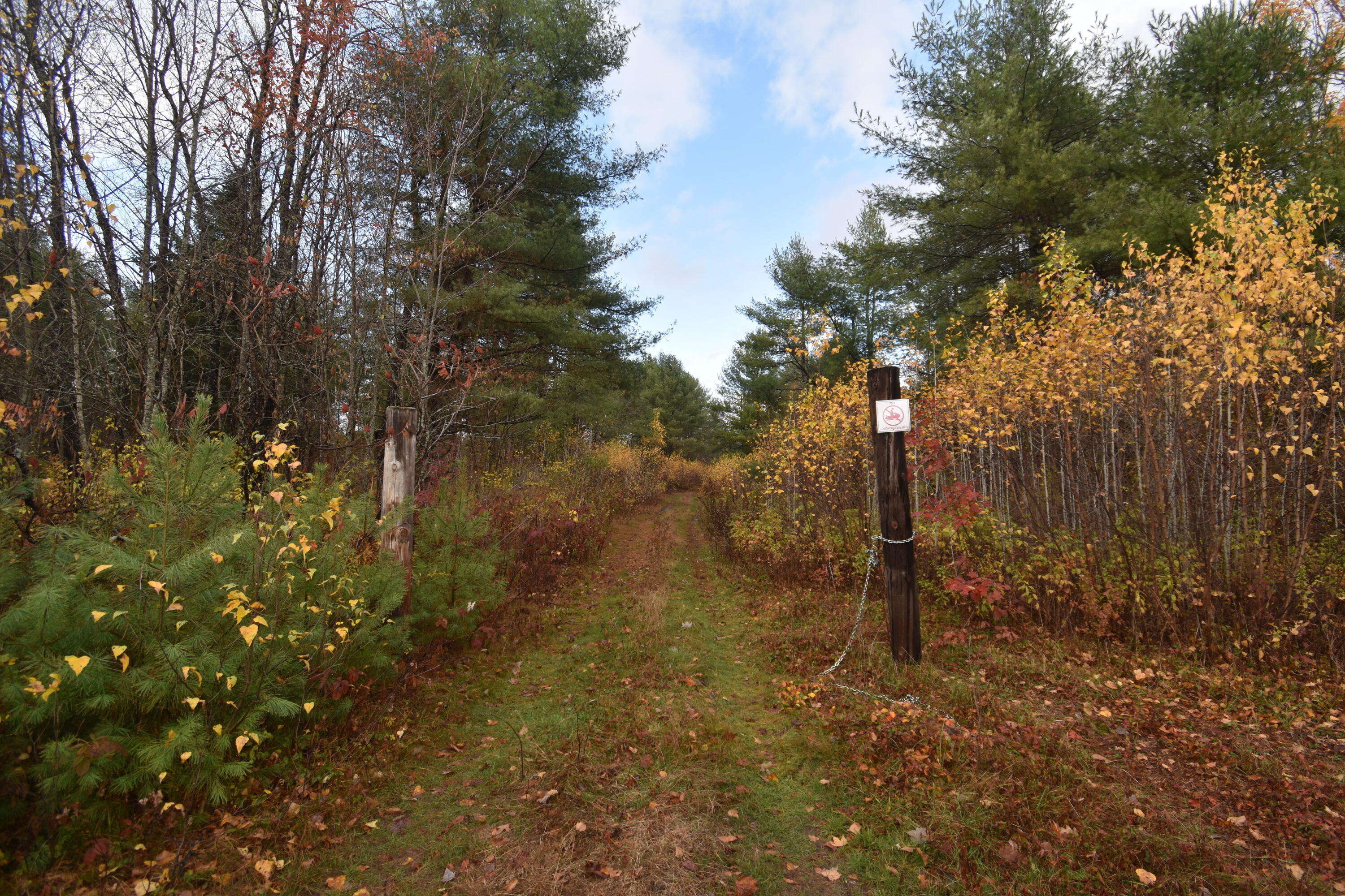 P/o Lot 7 P/o Road Norridgewock, ME 04957 - Photo 7 of 28 Driveway