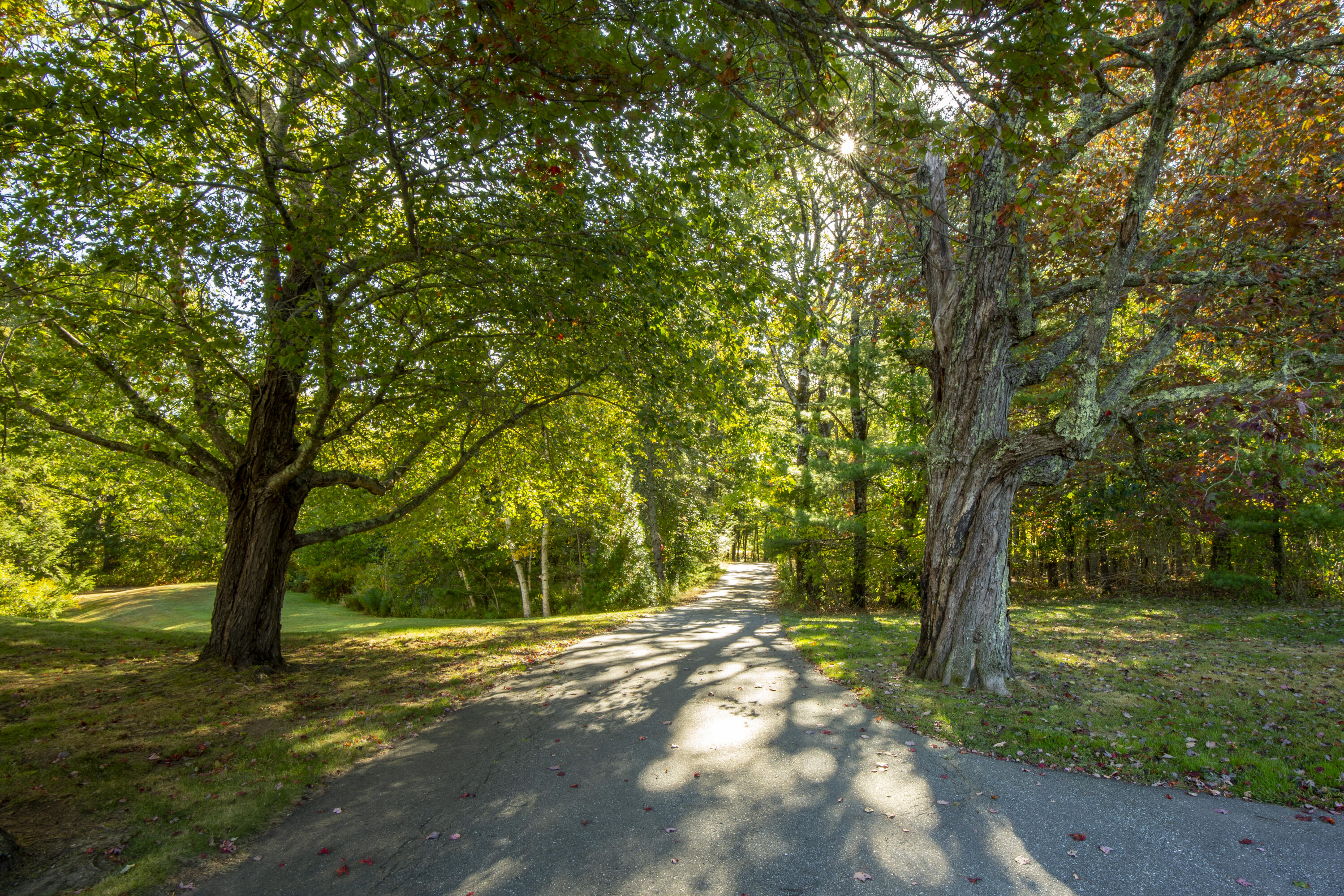 708 River Road Edgecomb, ME 04556 - Photo 2 of 35 05-708RiverRd-Edgecomb-KS
