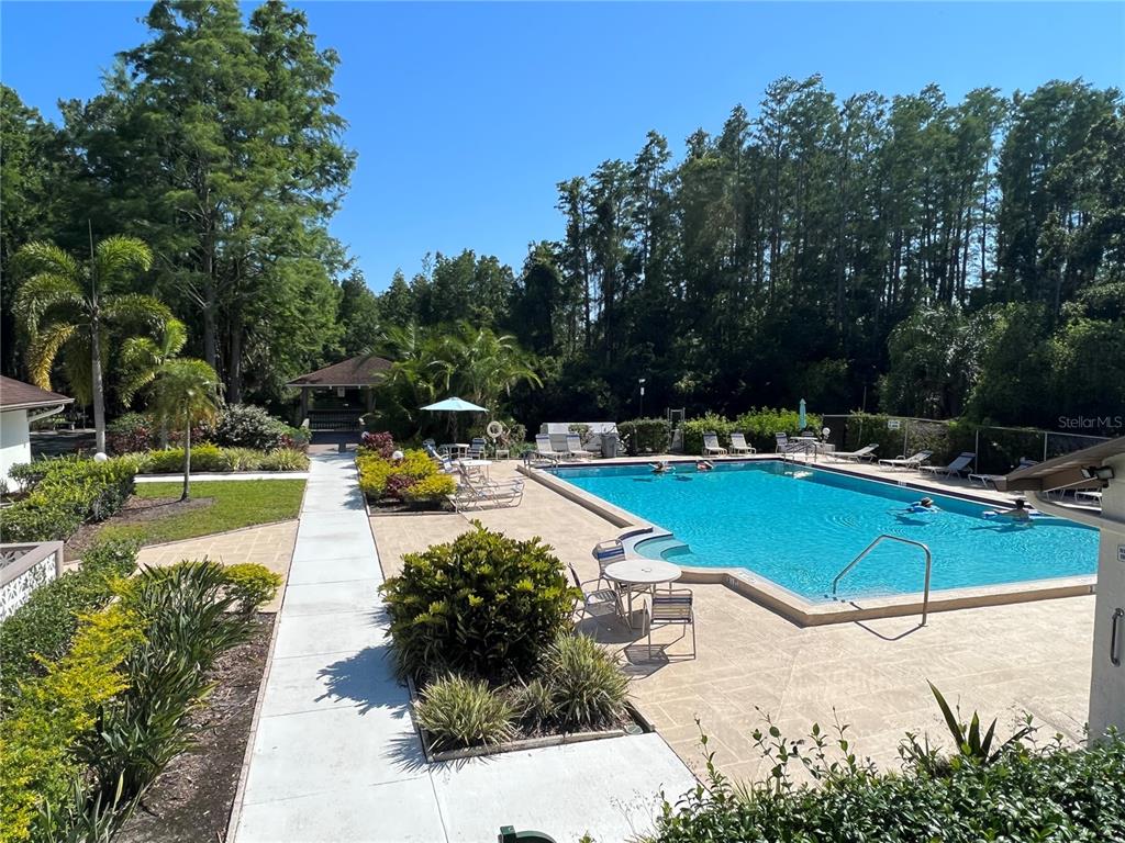 510 Mistletoe Court, Unit D Safety Harbor, FL 34695 - Photo 18 of 18 a view of a swimming pool with a lounge chair and trees in the background