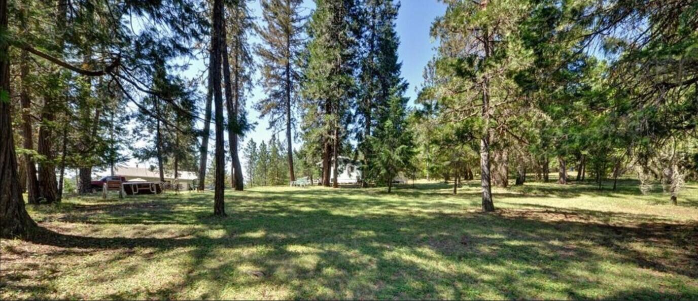 190 Citadel Road Trail, OR 97541 - Photo 11 of 27 a view of a tree in a yard