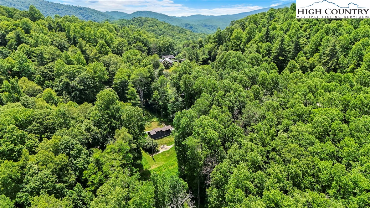 165 John Dotson Road Boone, NC 28607 - Photo 48 of 50 a view of a lush green forest with trees and flowers
