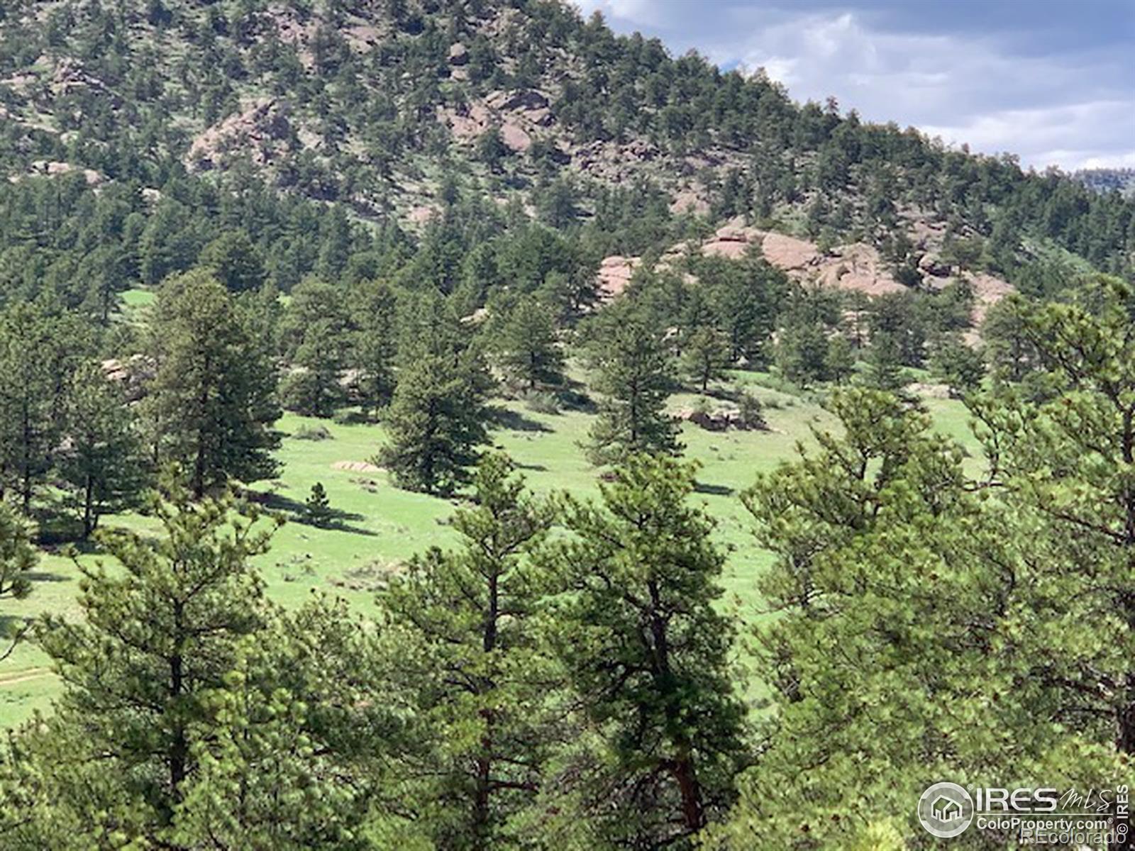 0 Open Range Road Lyons, CO 80540 - Photo 3 of 9