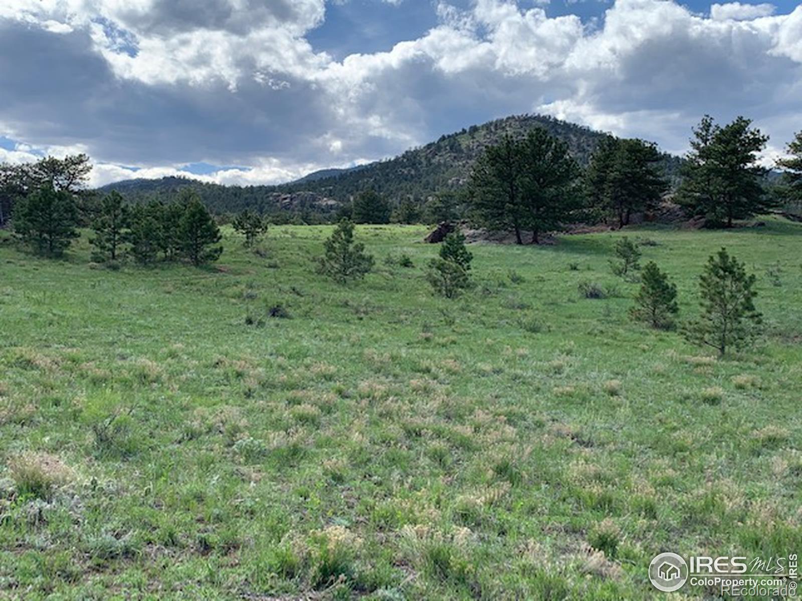 0 Open Range Road Lyons, CO 80540 - Photo 6 of 9