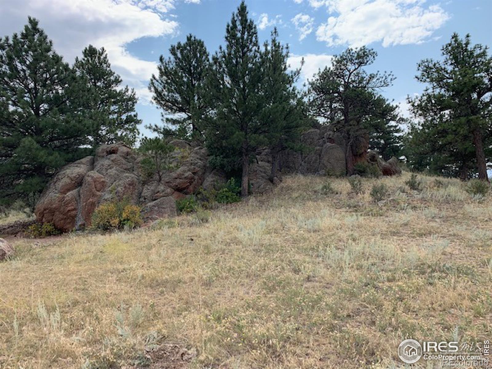 0 Open Range Road Lyons, CO 80540 - Photo 7 of 9