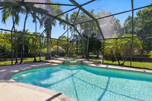 a view of a park with palm trees