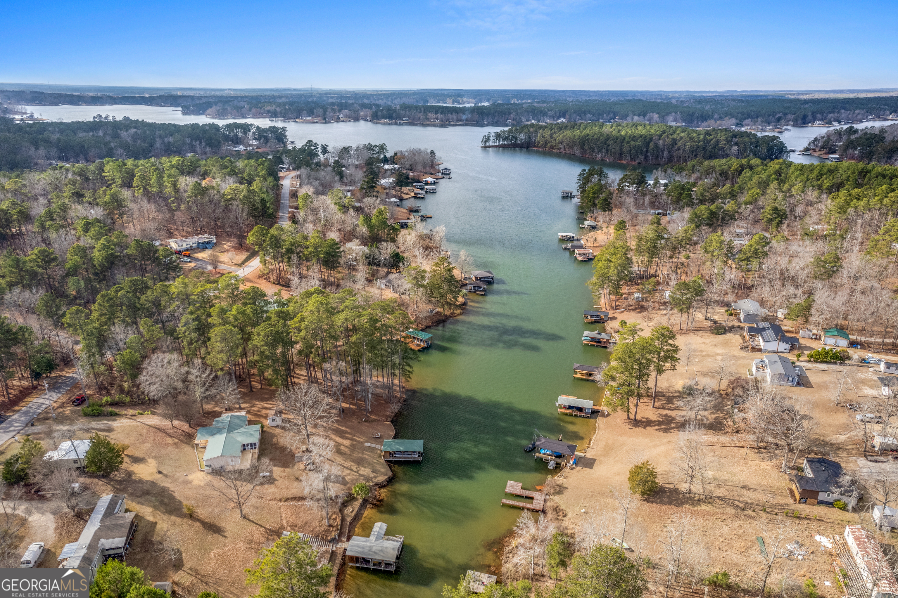 184 Brandywine Run Sparta, GA 31087 - Photo 3 of 72 a view of a lake with a city