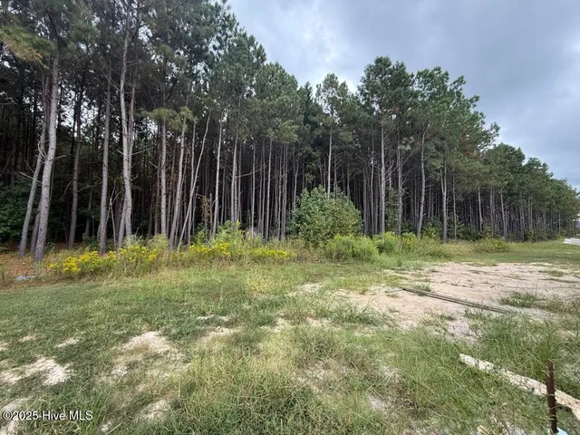 $303,500 | 4517 Sweet Williams Lane, Wilson, NC 27896