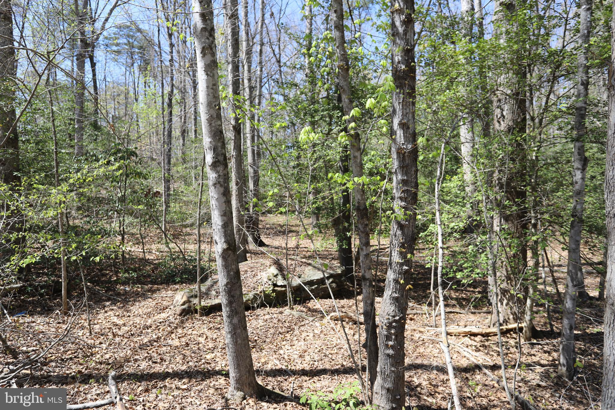 New Hampshire Road Rhoadesville, VA 22542 - Photo 1 of 3 Gallery Image 1