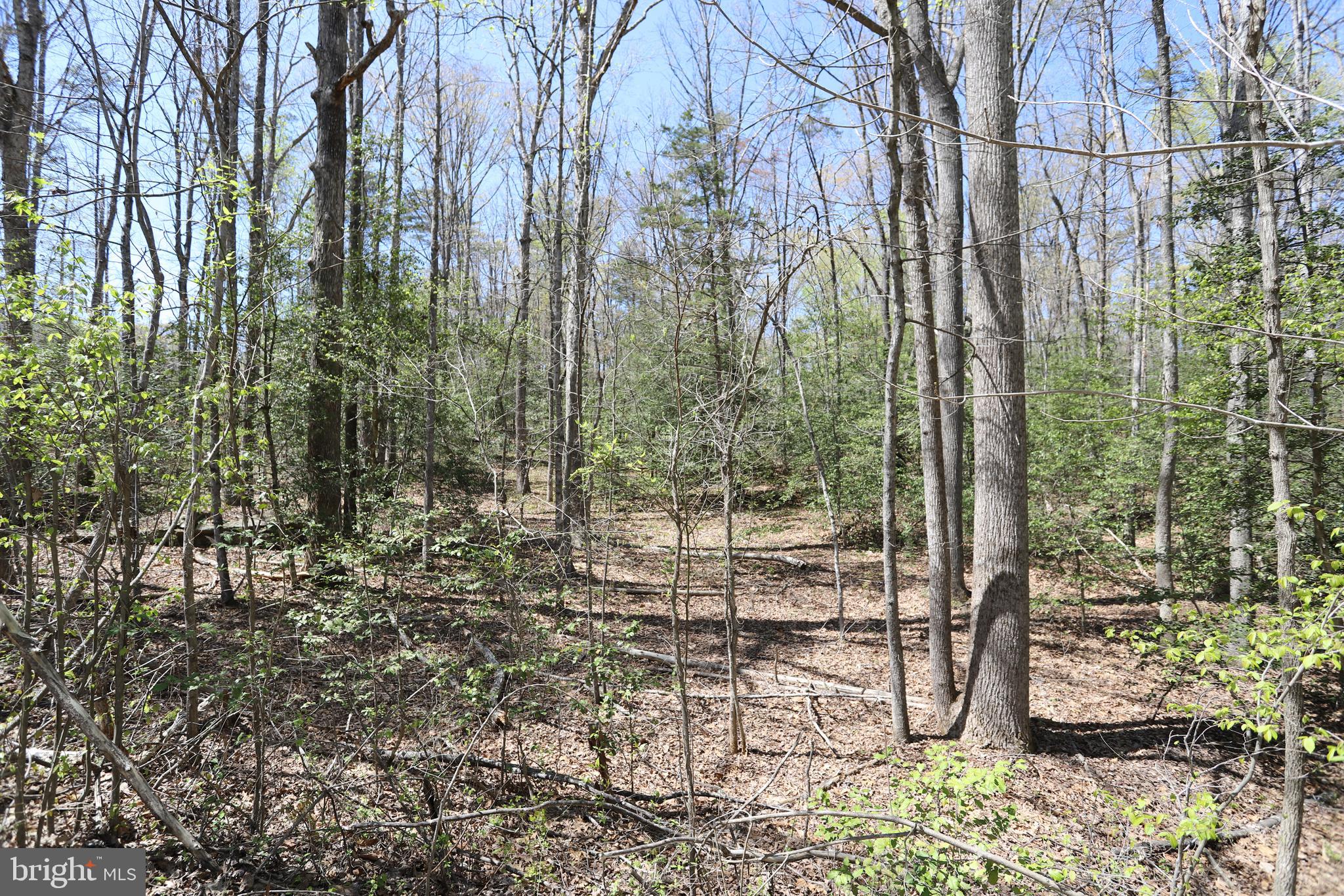 New Hampshire Road Rhoadesville, VA 22542 - Photo 3 of 3 Gallery Image 3