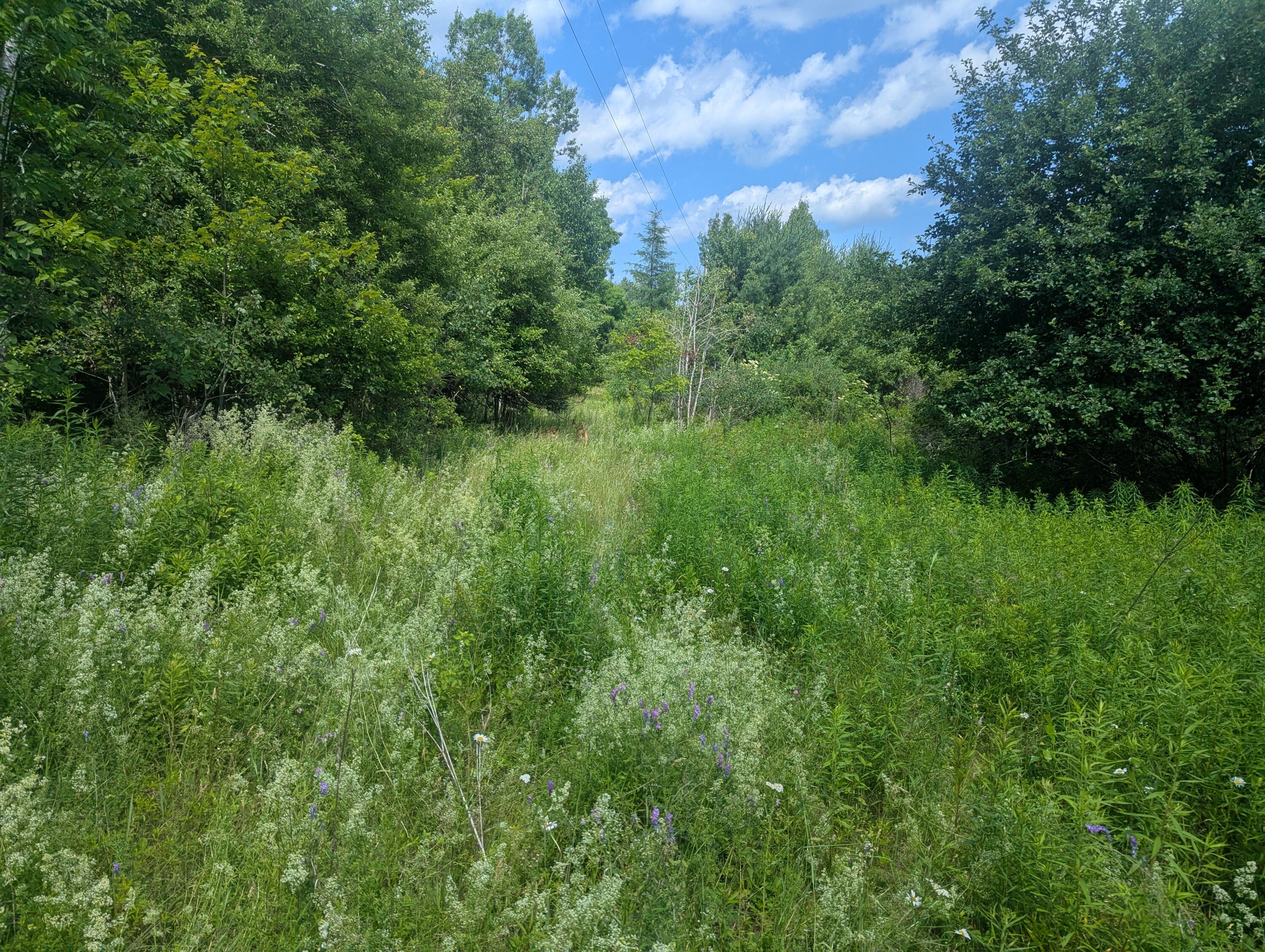 619 Stream Road Winterport, ME 04496 - Photo 1 of 3 PXL_20260703_181401163