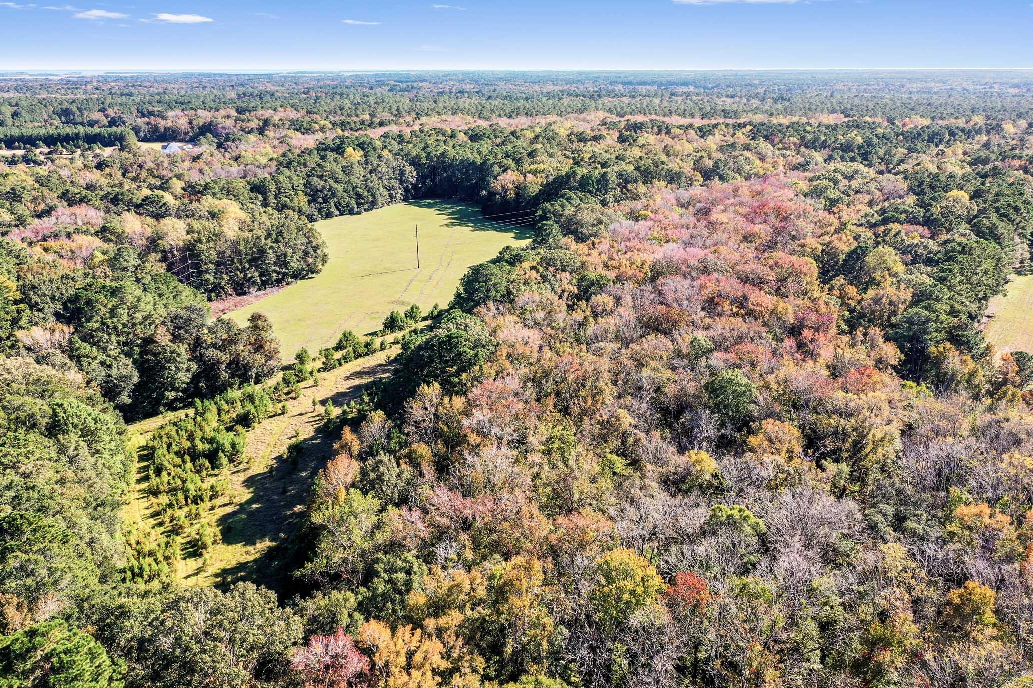 2476 Joseph Pearline Road Johns Island, SC 29455 - Photo 4 of 6 HFL_PLOW GROUND RD_30 ACRES-24