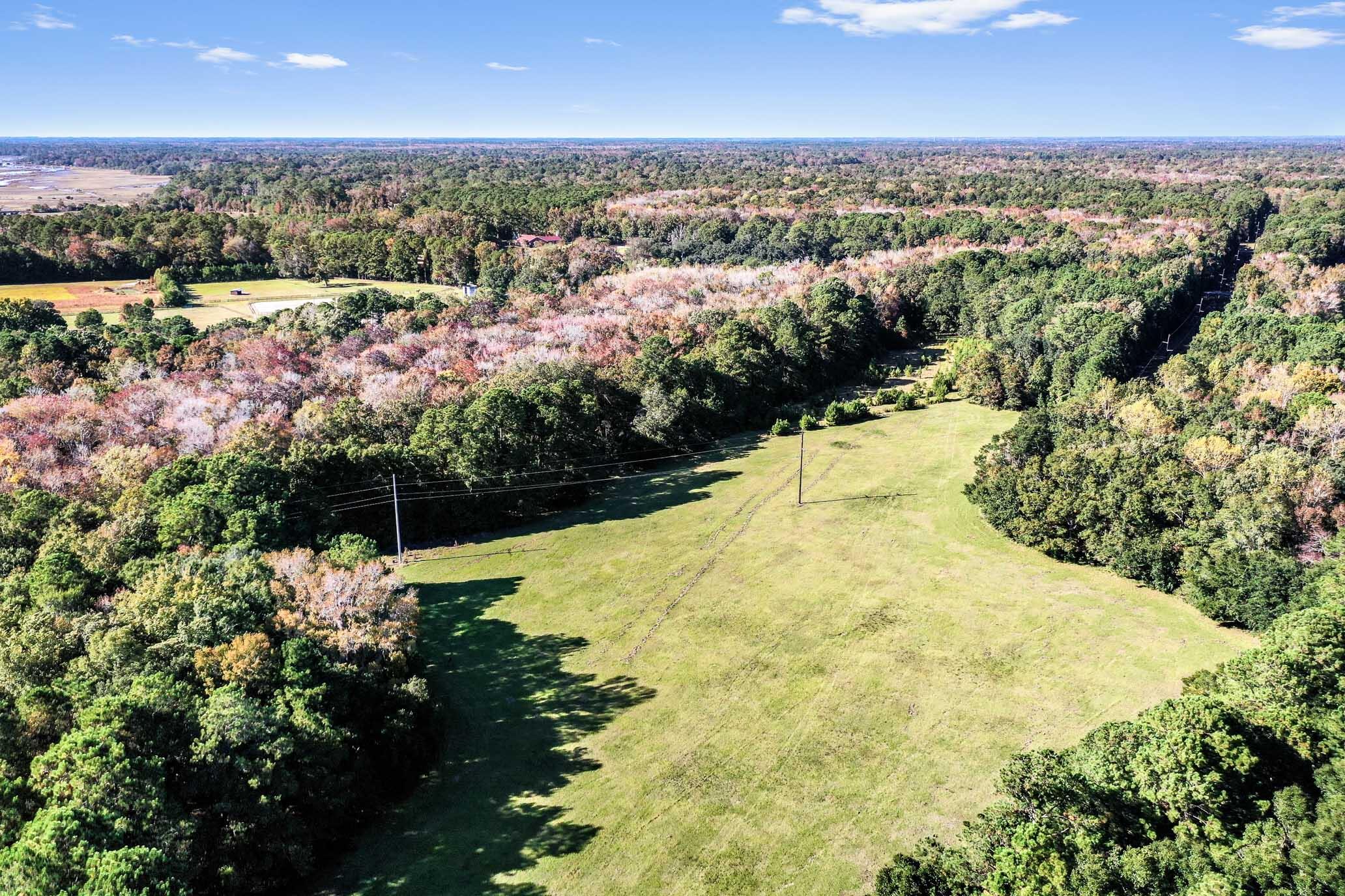 2476 Joseph Pearline Road Johns Island, SC 29455 - Photo 5 of 6 HFL_PLOW GROUND RD_30 ACRES-19