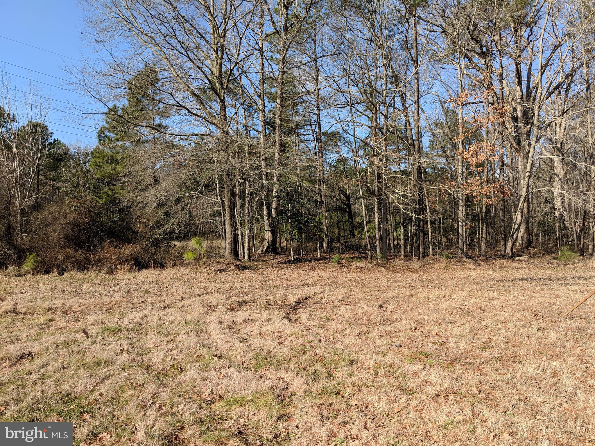 1415 Bayly Road Cambridge, MD 21613 - Photo 5 of 12 Gallery Image 5