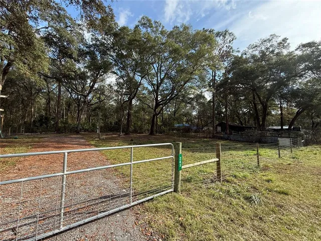 a view of backyard with large trees