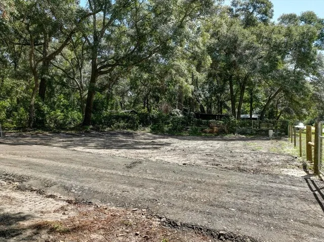 a view of backyard with green space