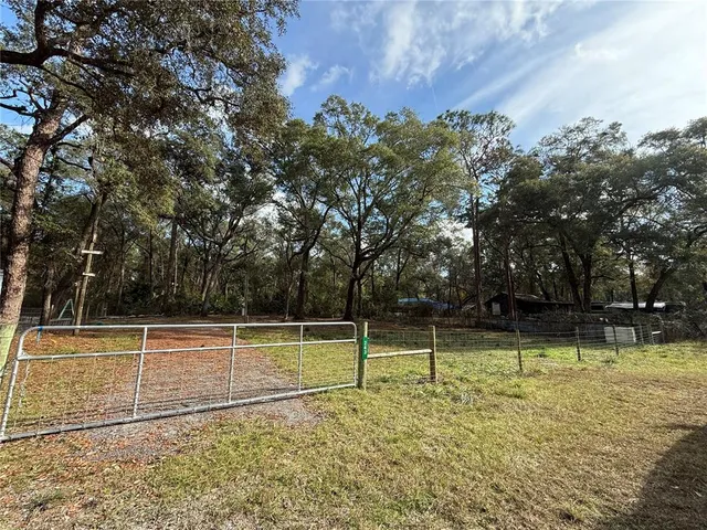 a view of a tennis ground with large trees