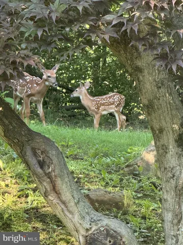 $650,000 | 1421 Earlys Mill Road, Palmyra, PA 17078