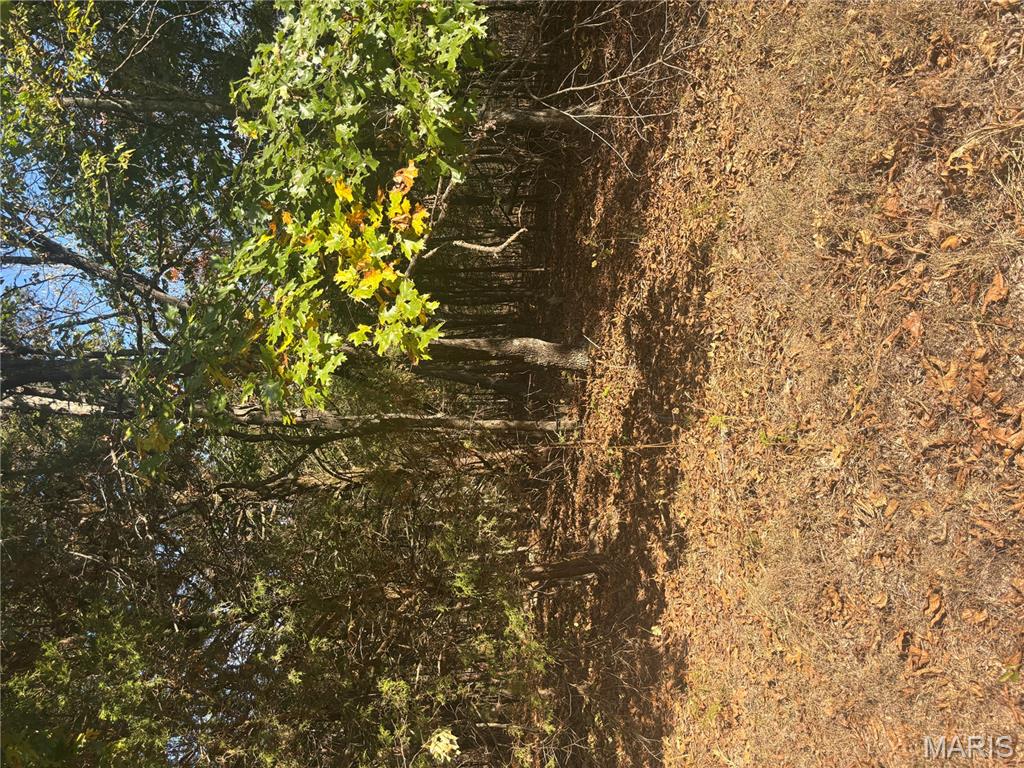 2 Mo-72 Fredericktown, MO 63645 - Photo 5 of 7