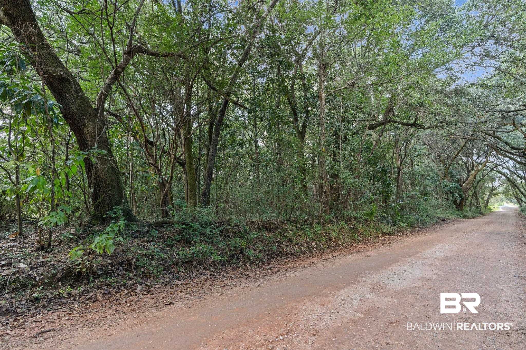 0 Dick Turner Road Grand Bay, AL 36541 - Photo 12 of 13 View of dirt / gravel road with a forest view