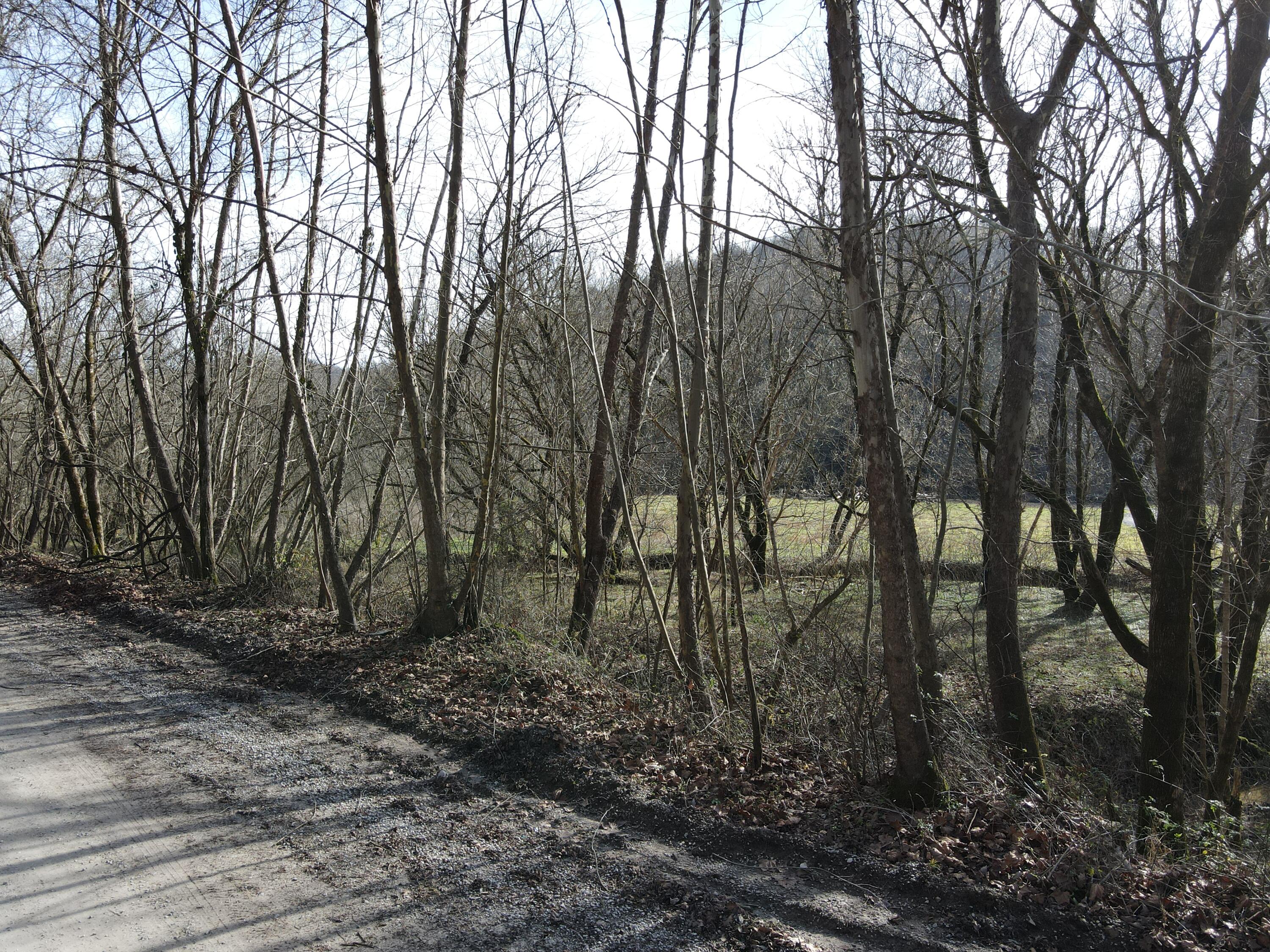 999 Mullins Station Road Livingston, KY 40445 - Photo 26 of 26 DJI_0497