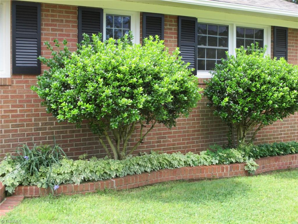 409 Price Road Lexington, NC 27295 - Photo 27 of 30 MATURE FOUNDATION PLANTS