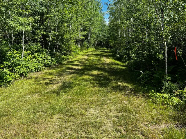 $649,000 | 18219 Majestic Hideaway Way, Nashwauk, MN 55769