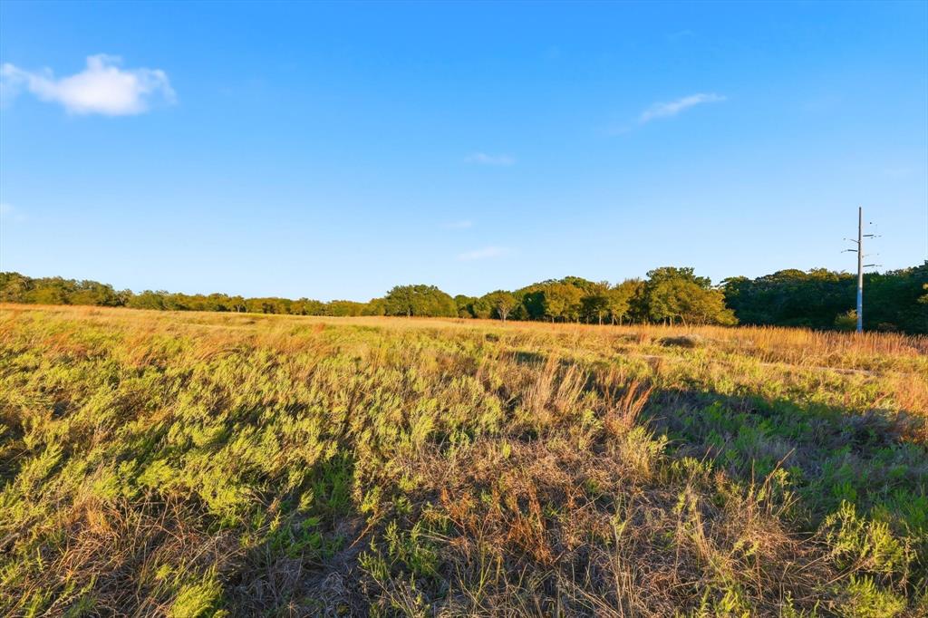 2401 Bear Creek Road Aledo, TX 76008 - Photo 19 of 37 View of undeveloped land featuring rural landscape