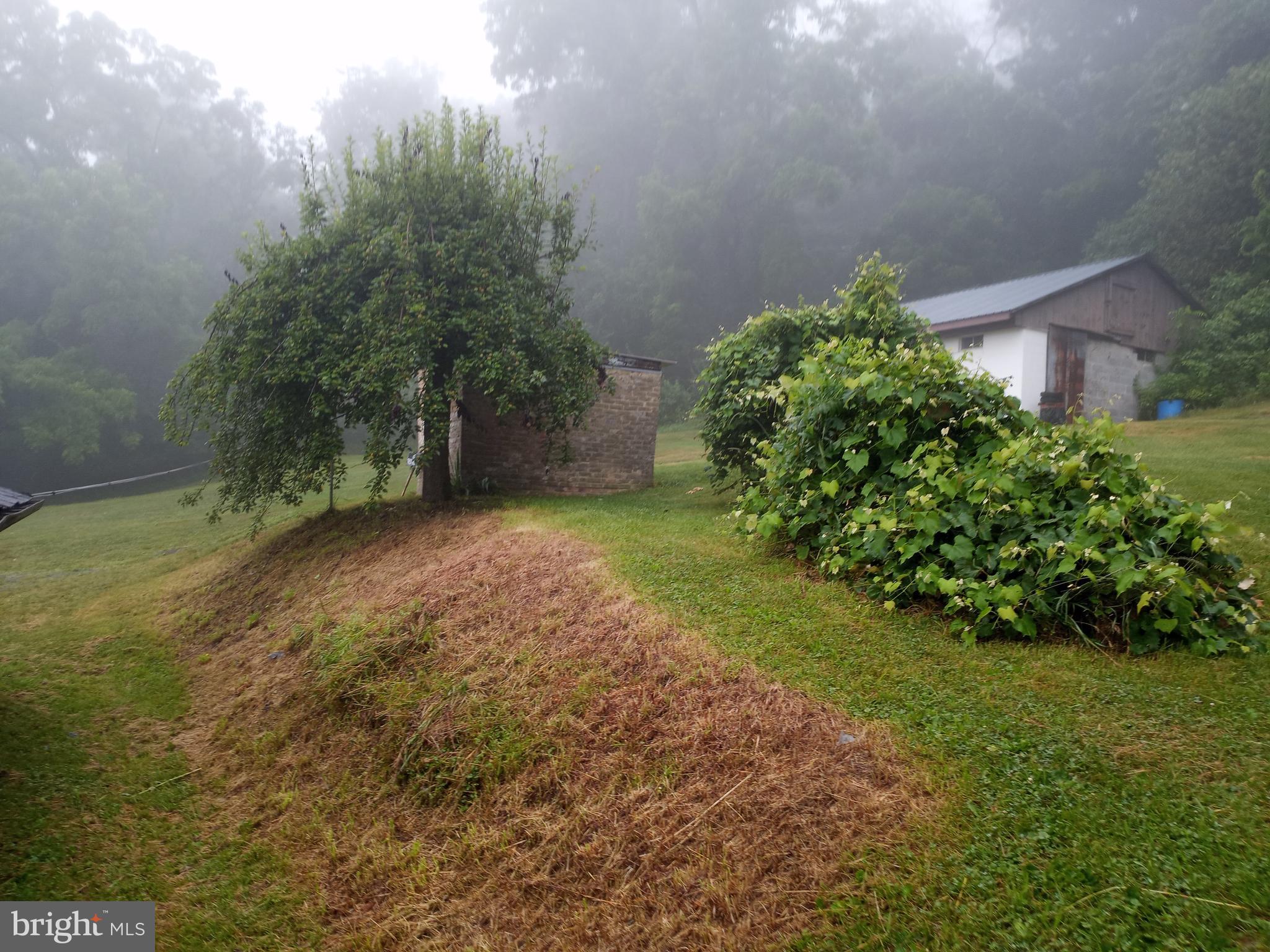 403 Kline Road Bellefonte, PA 16823 - Photo 21 of 27 a view of a yard with plants and trees
