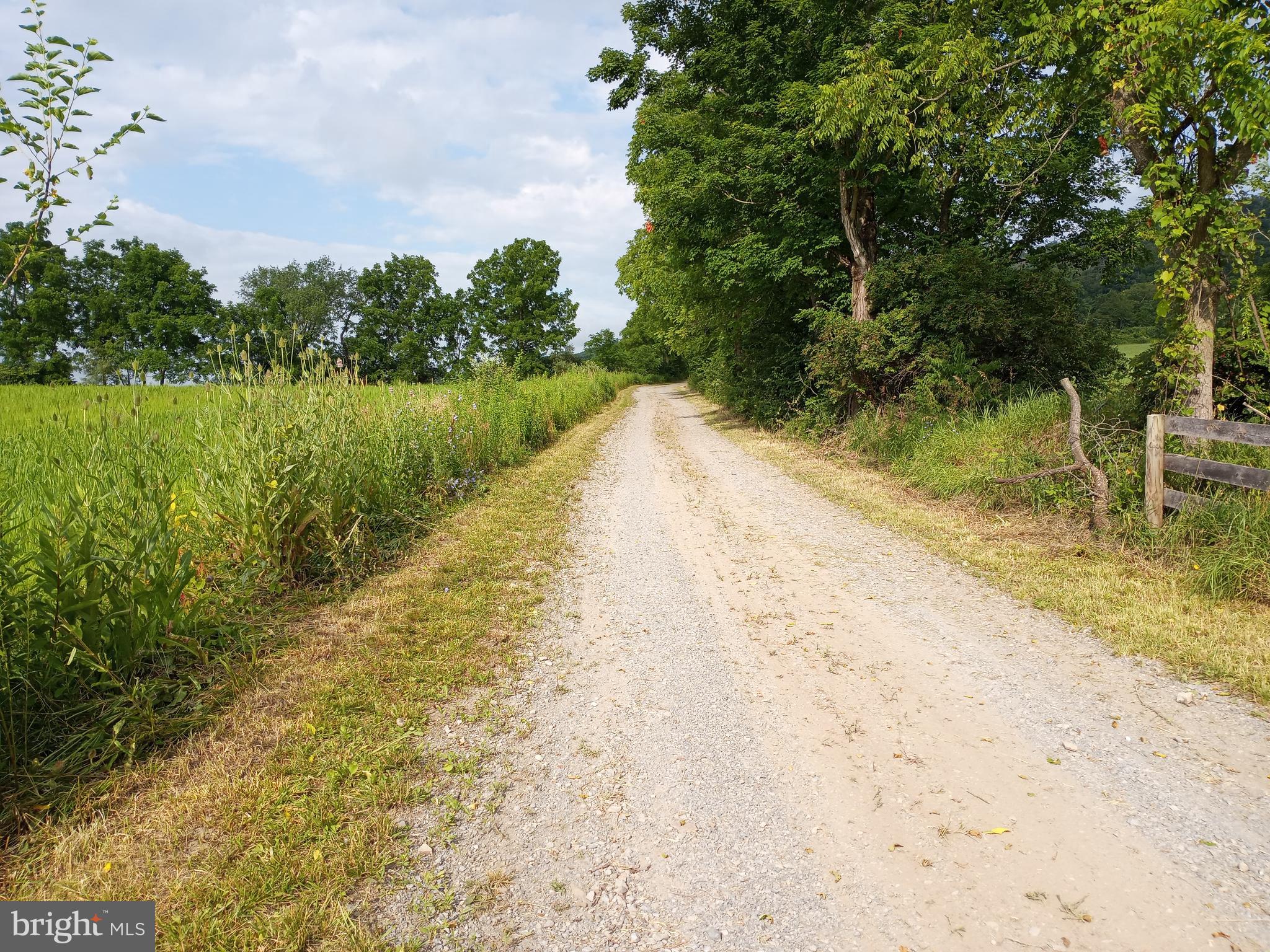 403 Kline Road Bellefonte, PA 16823 - Photo 6 of 27 a view of lake