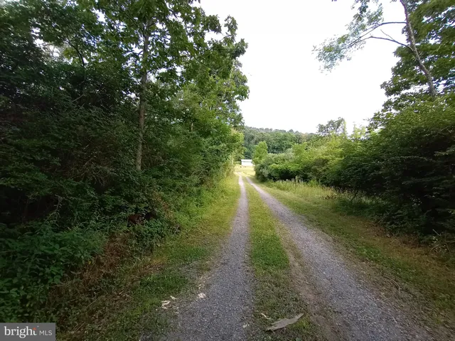 a view of a pathway both side of yard