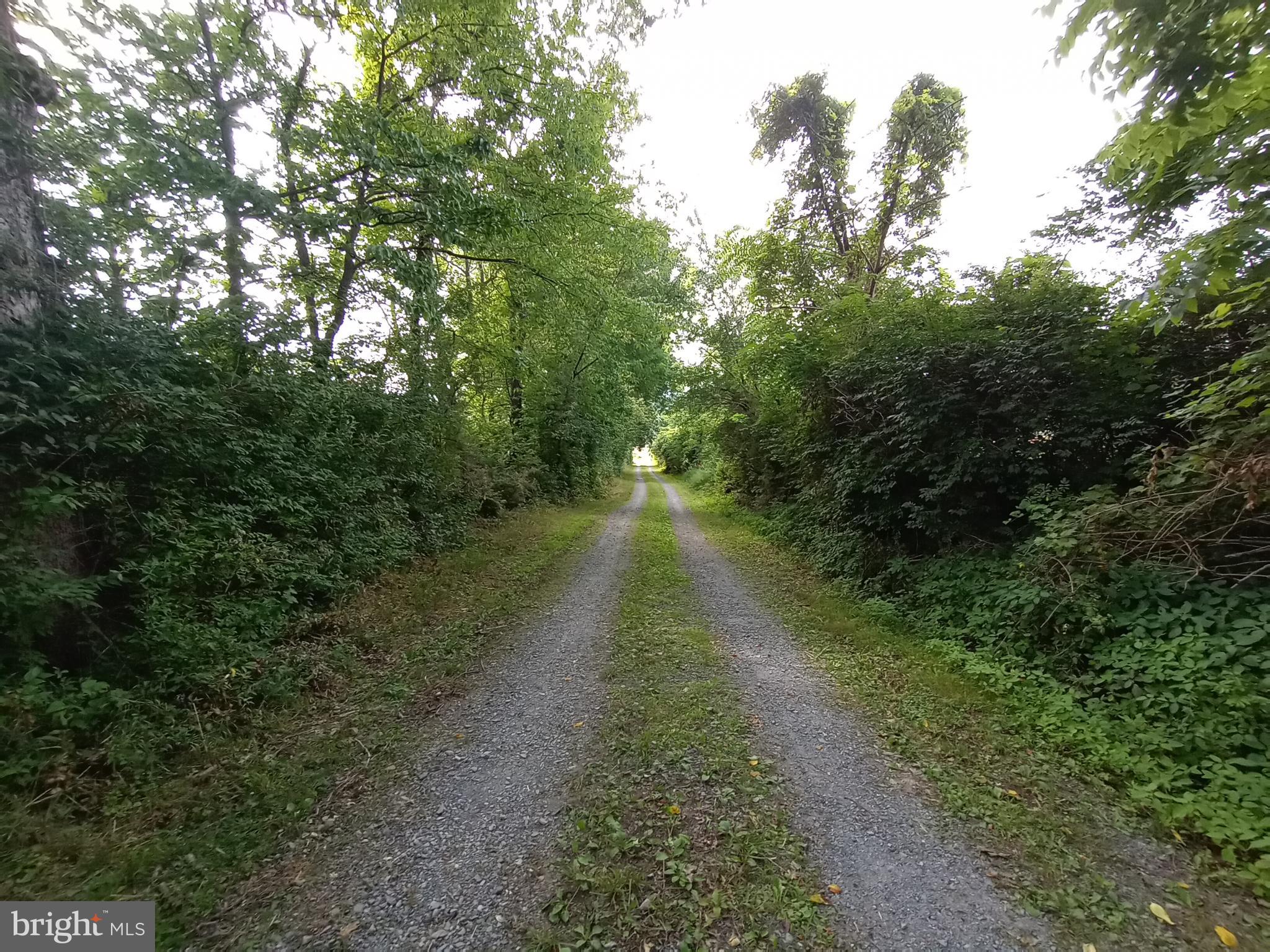 403 Kline Road Bellefonte, PA 16823 - Photo 8 of 27 a view of a pathway both side of yard