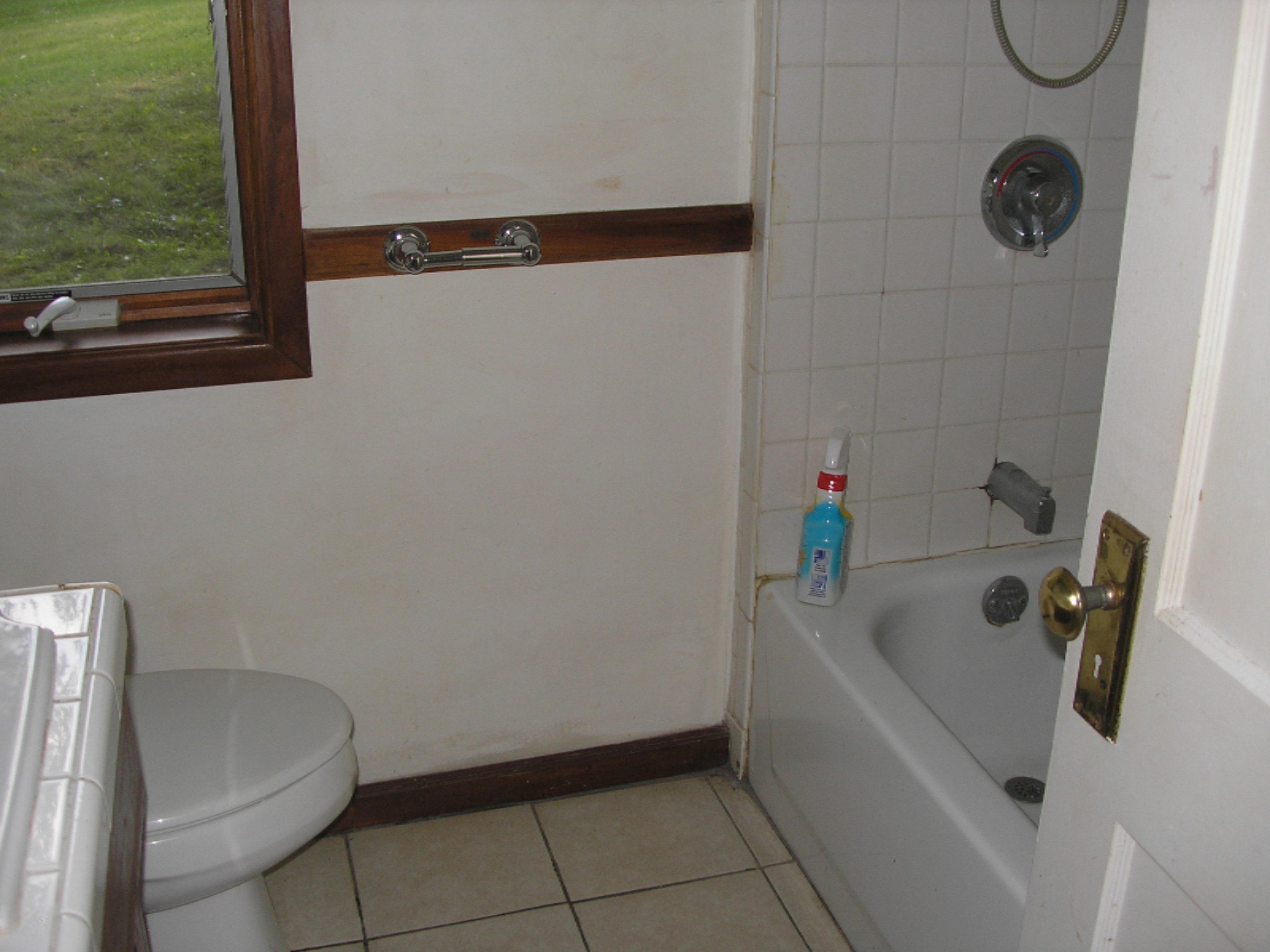 550 Riverside Drive Constantine, MI 49042 - Photo 13 of 25 550 Riverside Dr 018