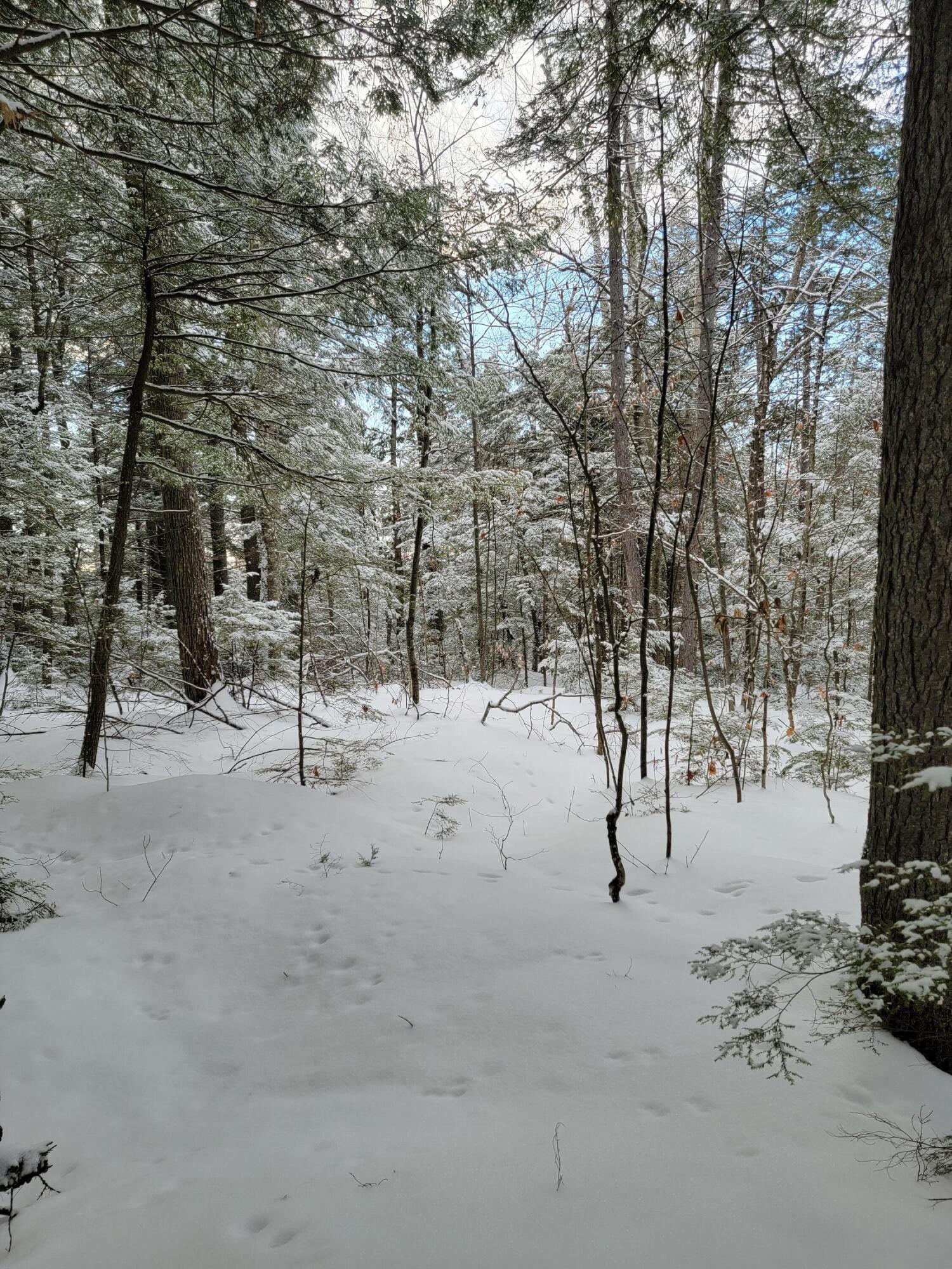 0 Railroadbed Rd Lake View Milo, ME 04463 - Photo 27 of 68 20220125_143209