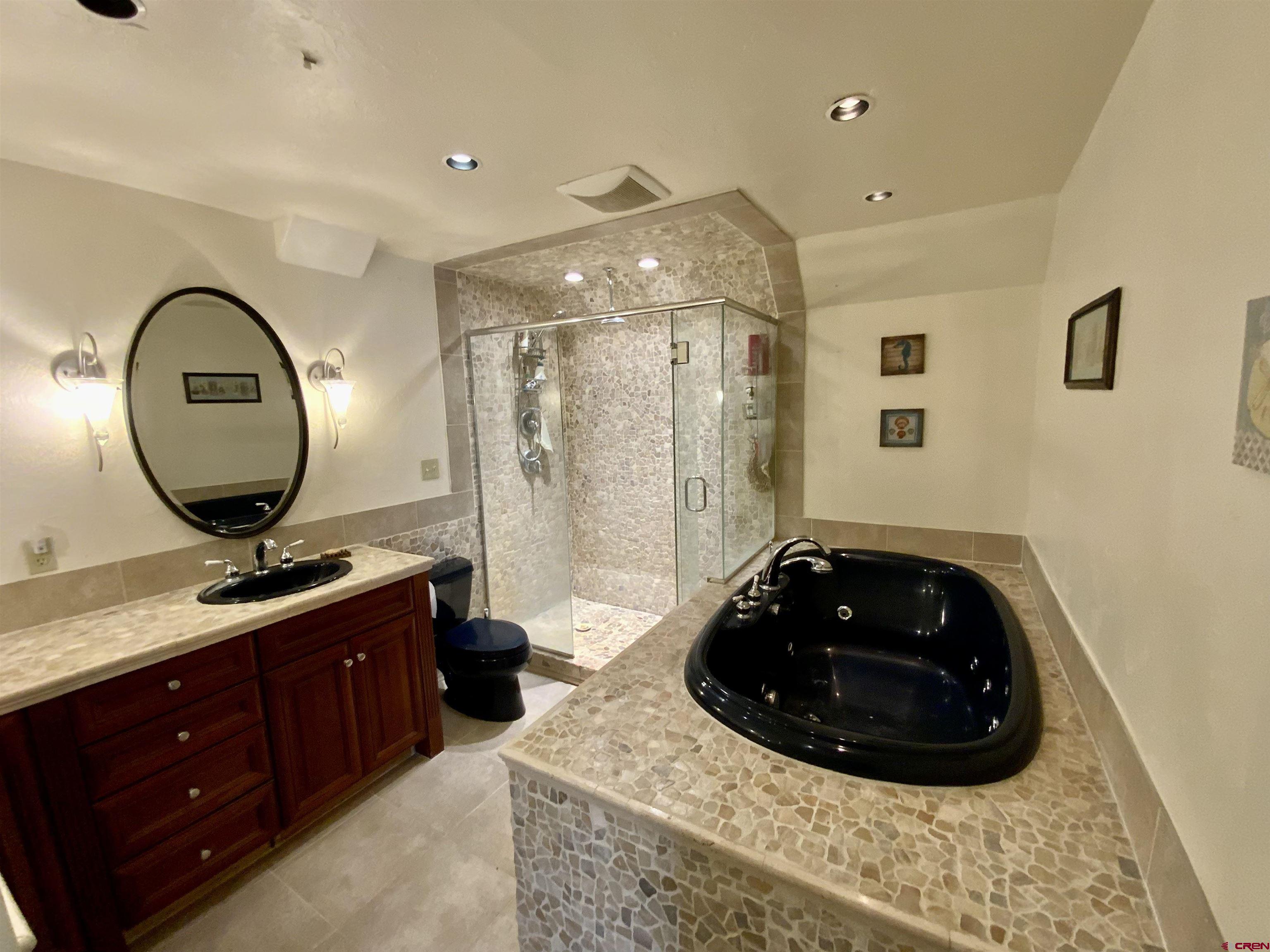 49 Columbine Road Gunnison, CO 81230 - Photo 22 of 24 Downstairs master bathroom