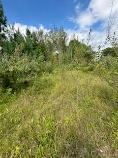 West Avenue Rodney, MI 49342 - Photo 2 of 6 IMG_0652