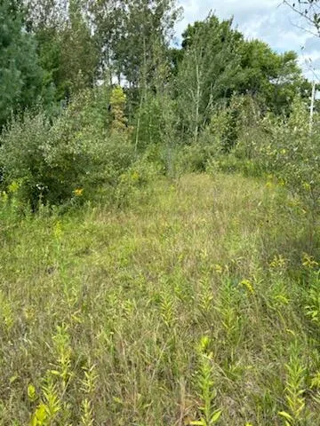 $50,000 | West Avenue, Rodney, MI 49342