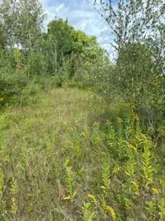 $39,900 | West Avenue, Rodney, MI 49342