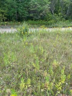 West Avenue Rodney, MI 49342 - Photo 5 of 6 IMG_0656