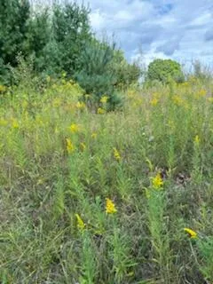 $50,000 | West Avenue, Rodney, MI 49342